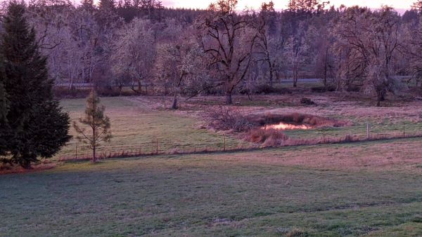 Oregon Property Pond Lower Pasture